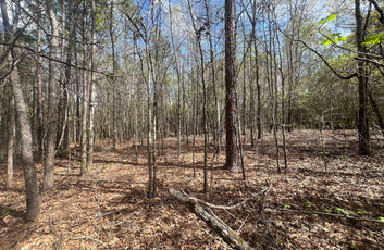 21 Acre Undeveloped Land-4