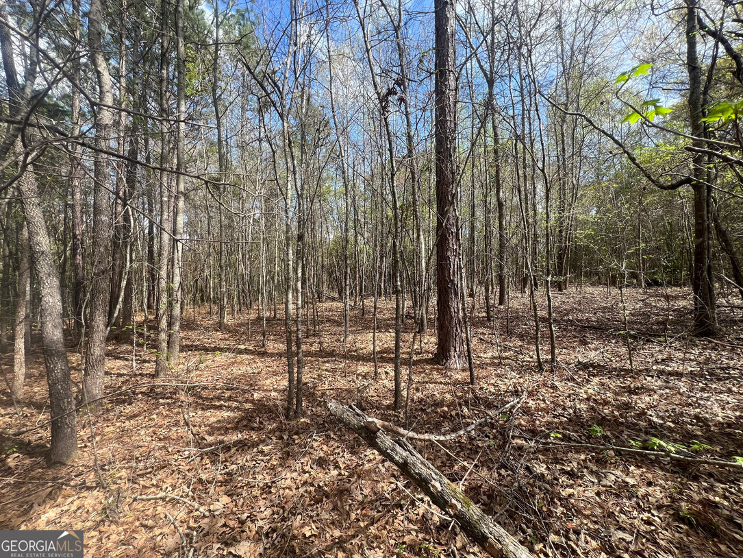 21 Acre Undeveloped Land