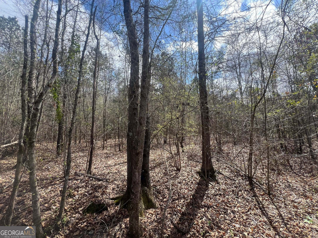 21 Acre Undeveloped Land