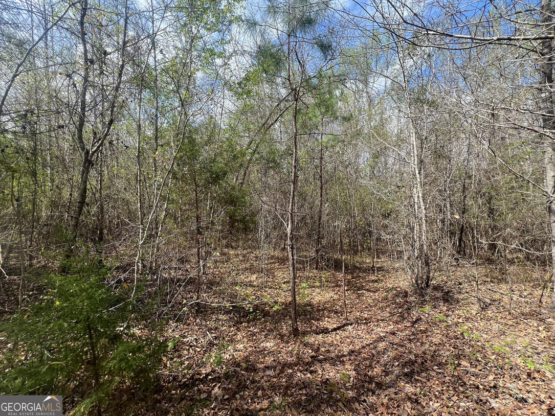 21 Acre Undeveloped Land
